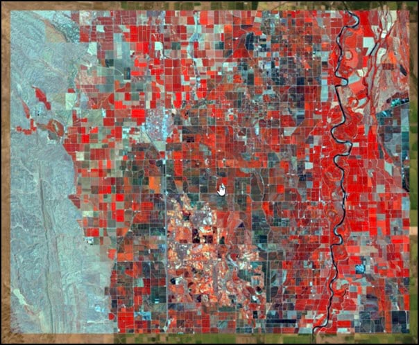 Landsat 8 image displayed as color infrared.