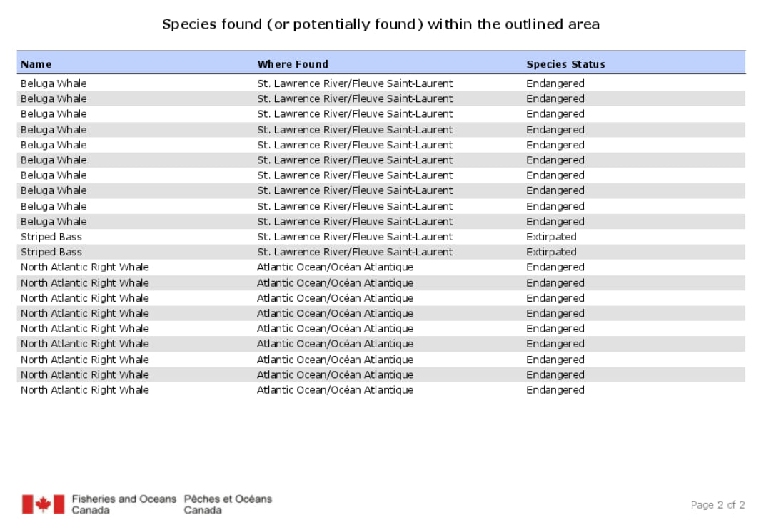 Dynamic table in a printed report