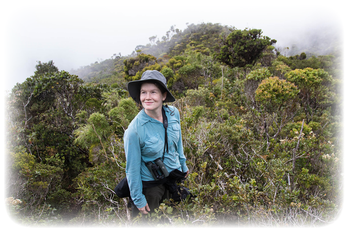 A photograph of Gabby Salazar on a brushy slope while conducting field work. A photograph of Gabby Salazar on a brushy slope while conducting field work.