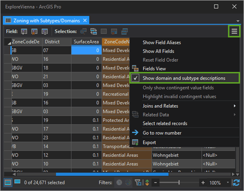 Display domain and subtype descriptions