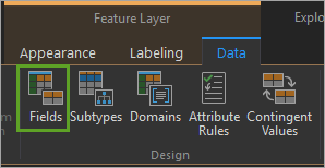 Display fields view