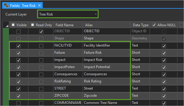 Set risk layer fields