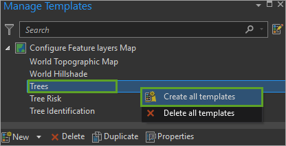 Create feature template