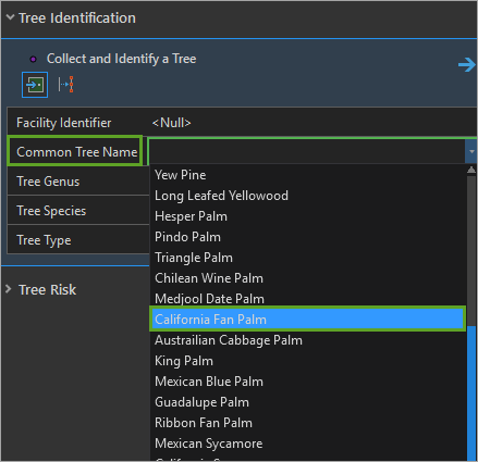 Set tree type value