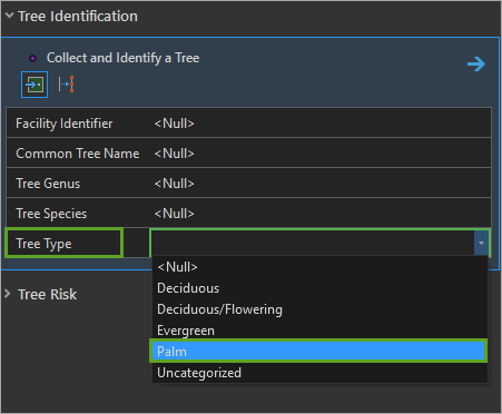 Set tree type domain value