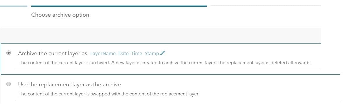 options for archiving in replace Layer