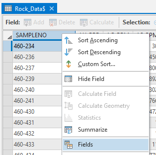 Display fields view