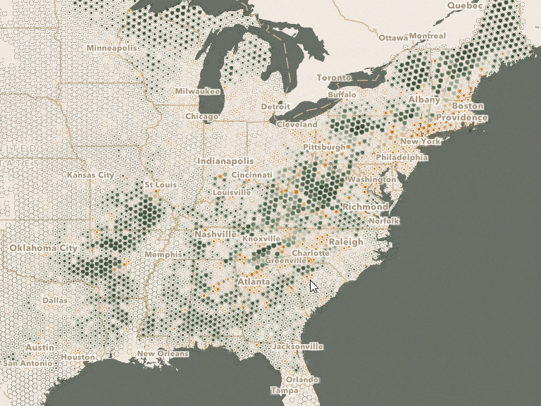 Forest and population map gif