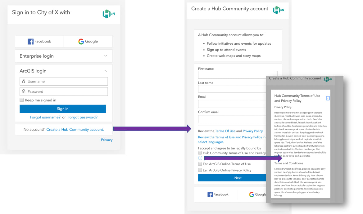 Example sign in screen showing custom logo, sign up screen, and custom terms and conditions