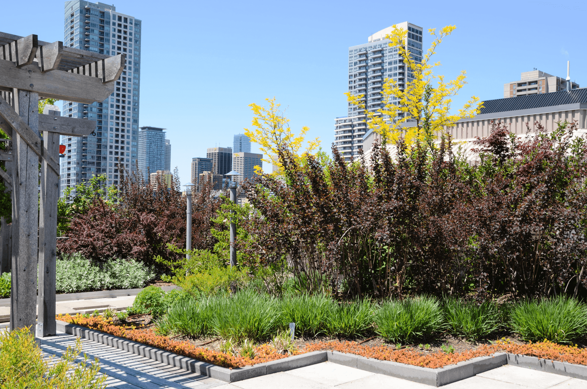 smart city green rooftop