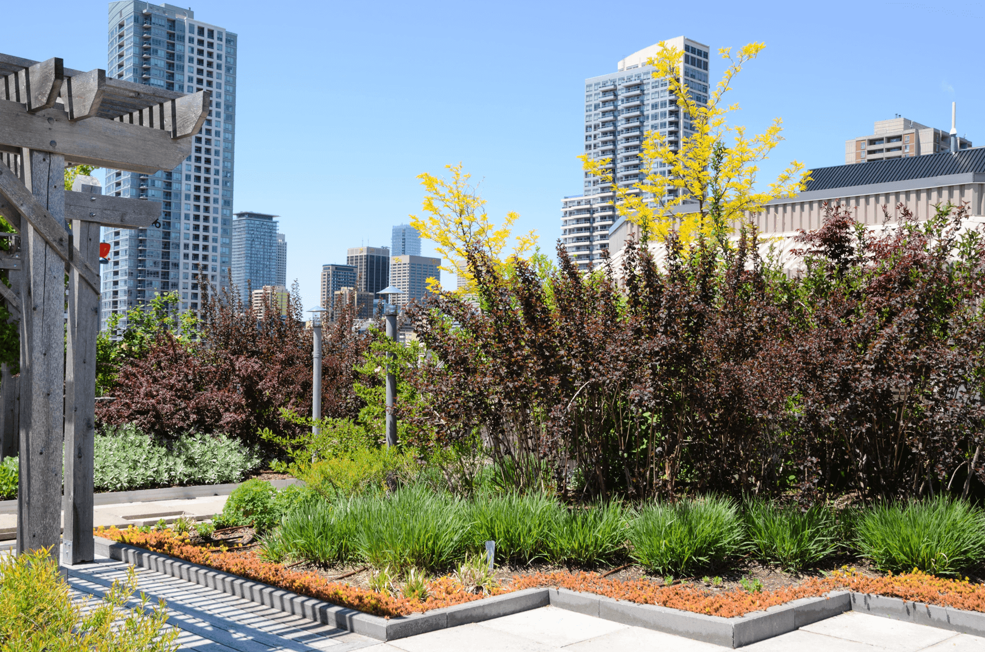 smart city green rooftop smart city green rooftop