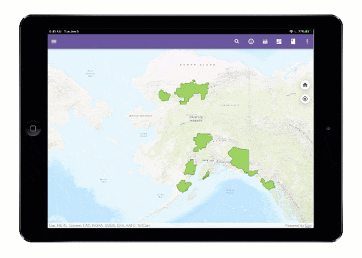 Showing related records from a feature layer in webmap