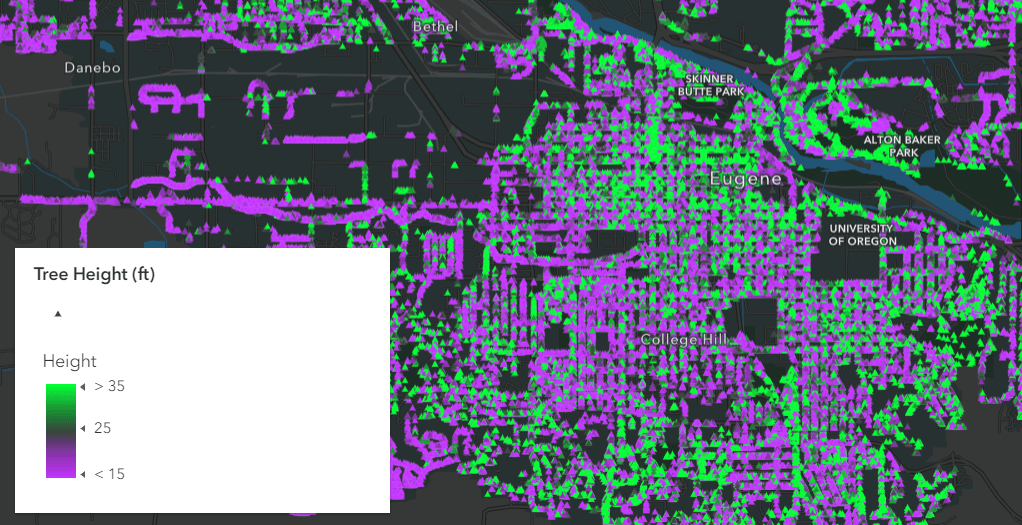 100,000 overlapping trees 100,000 overlapping trees