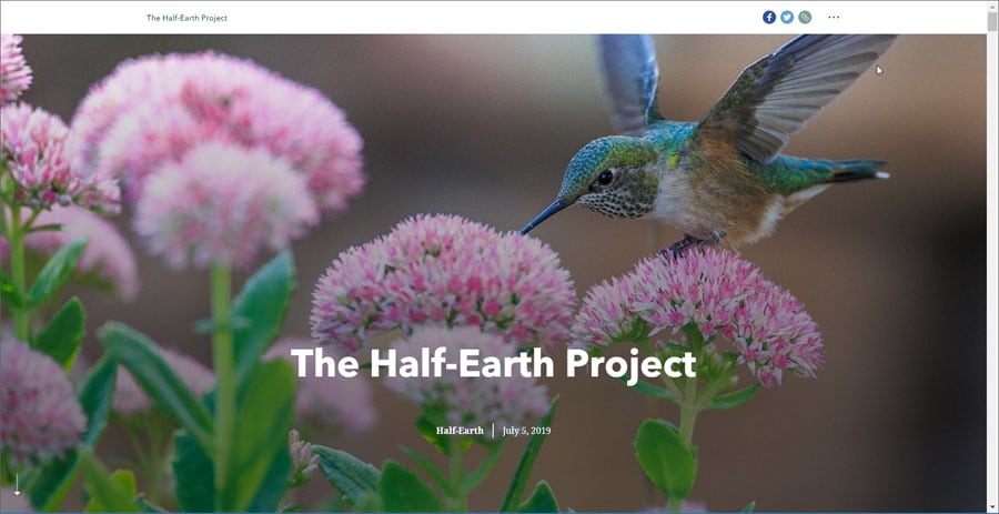 Half Earth Project story map