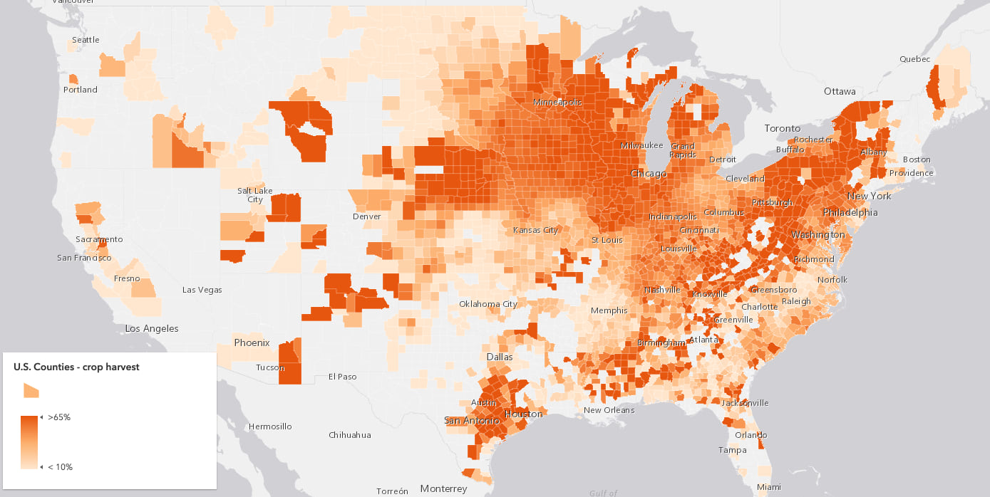 Map of the United States counties colored by the percentage of harvested acres that yielded corn. Each county is colored using the Orange 2 color ramp.