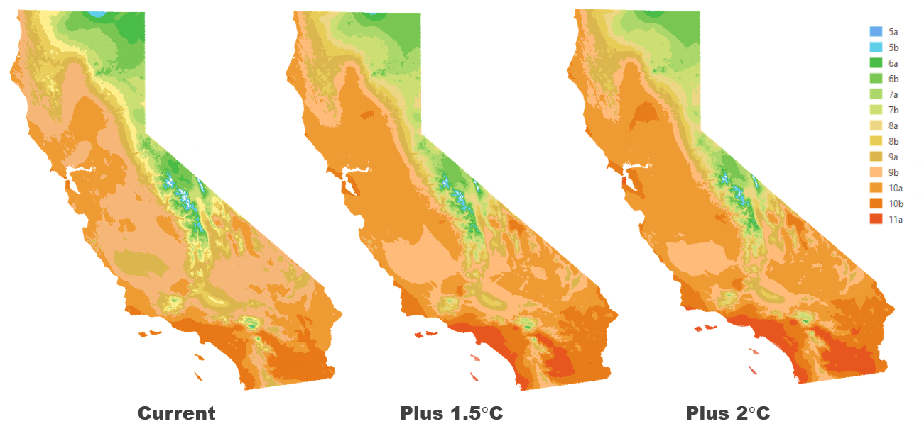 Current hardiness zones and results of analysis