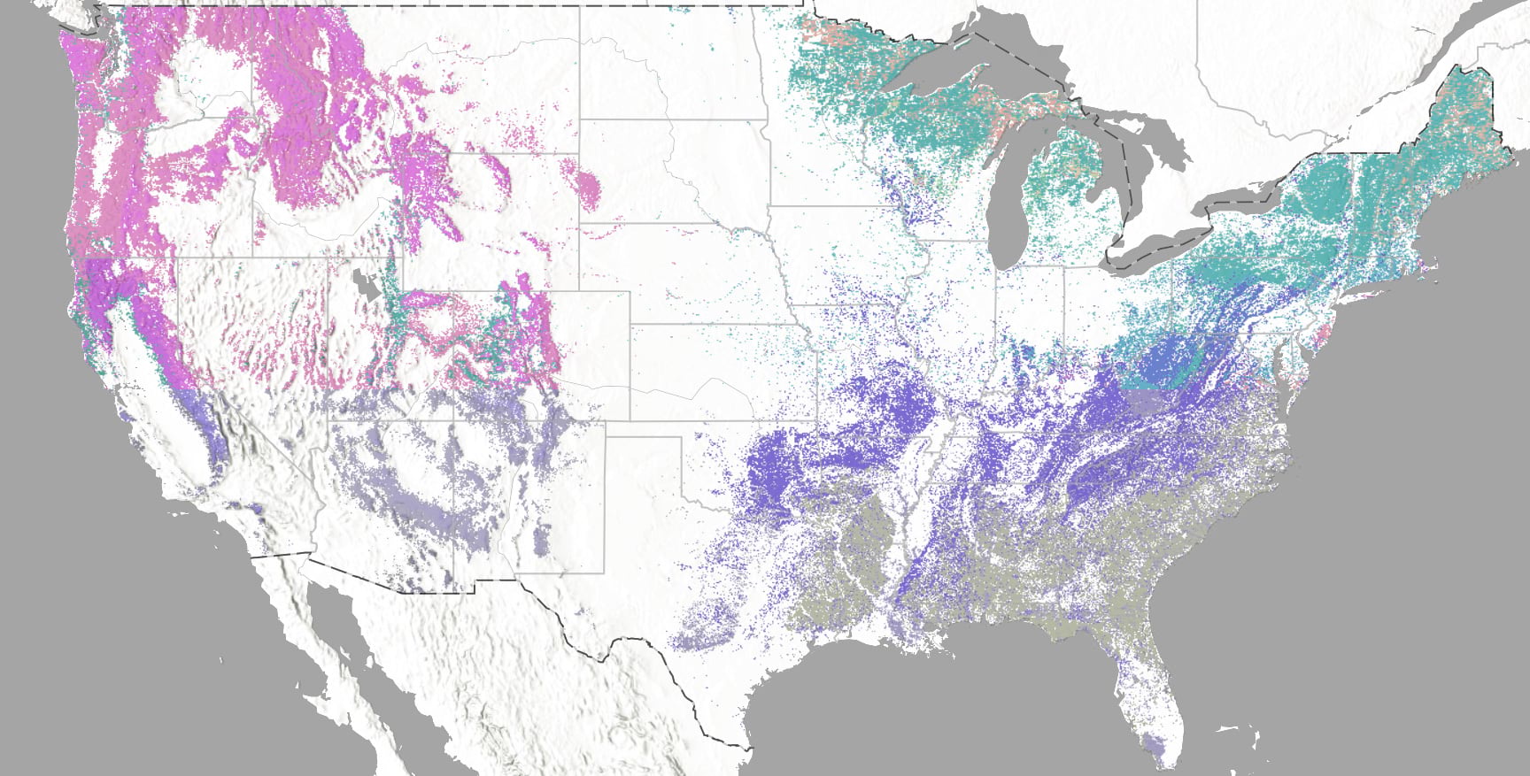 USA forest type map USA forest type map