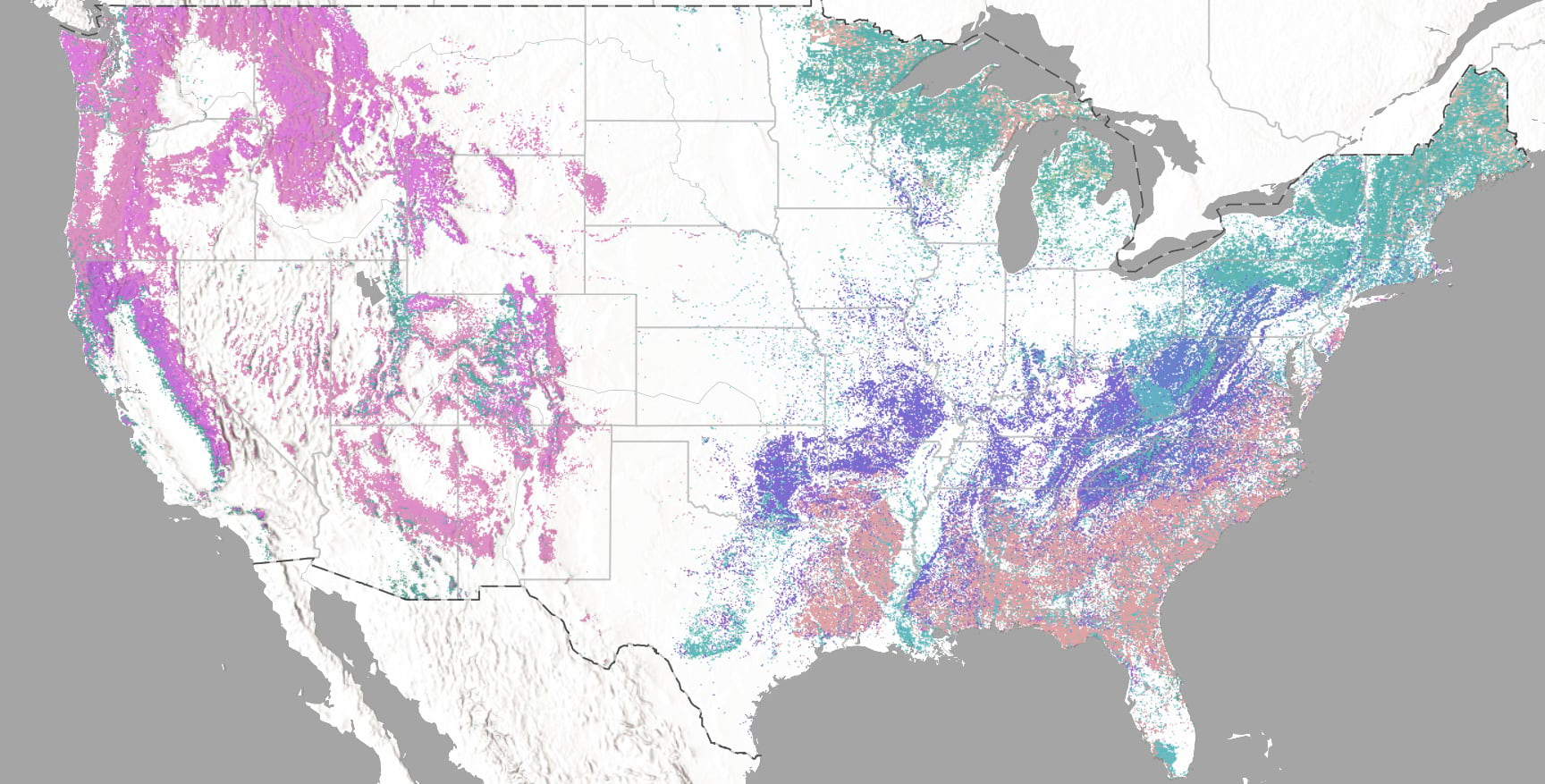 USA forest type map