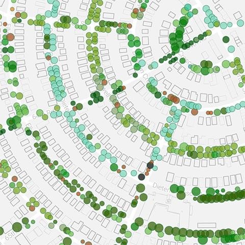 map of trees in New York City