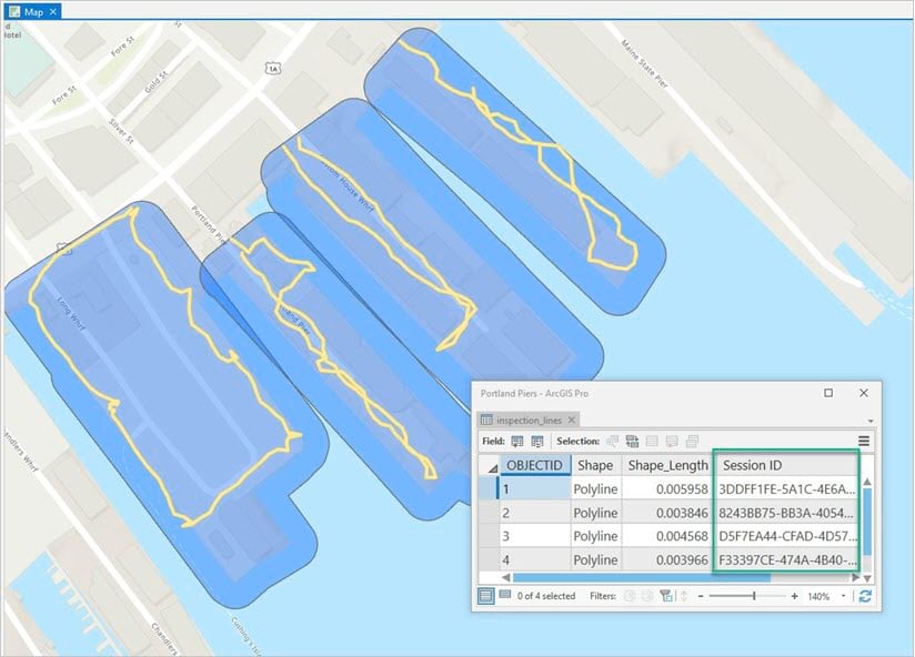 The inspection lines and attribute table are shown on the map.