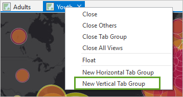 New vertical tab group selected on the context menu of the Youth map tab New vertical tab group selected on the context menu of the Youth map tab