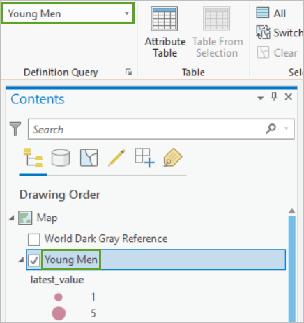 The top layer in the Contents pane renamed to Young Men with the Yougn Men definition query active