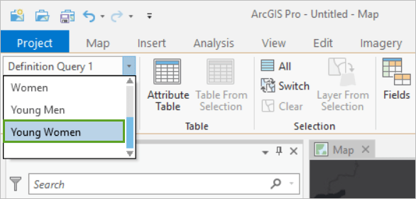 Young Women option in the definition query picker on the ribbon Young Women option in the definition query picker on the ribbon
