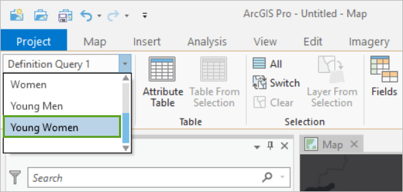 Young Women option in the definition query picker on the ribbon