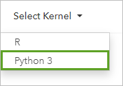 Select the Python 3 kernel