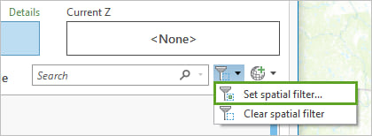 Set Spatial Filter on the Coordinate Systems page