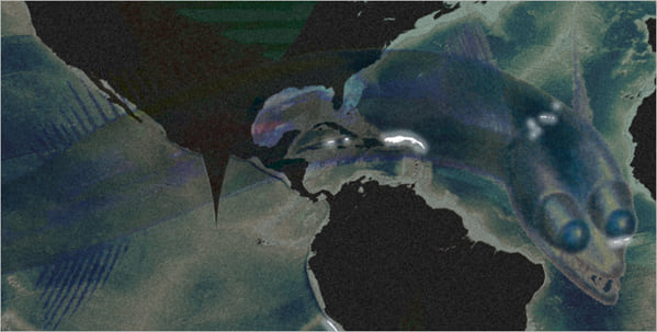 Map with fish image on top Map with fish image on top