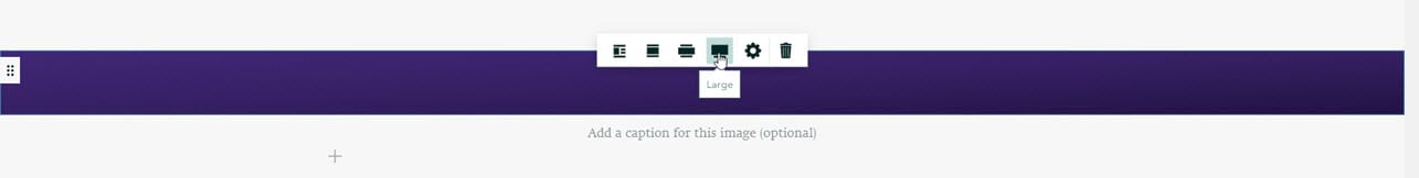 Select the size of an image, with cursor pointing at the Large option.