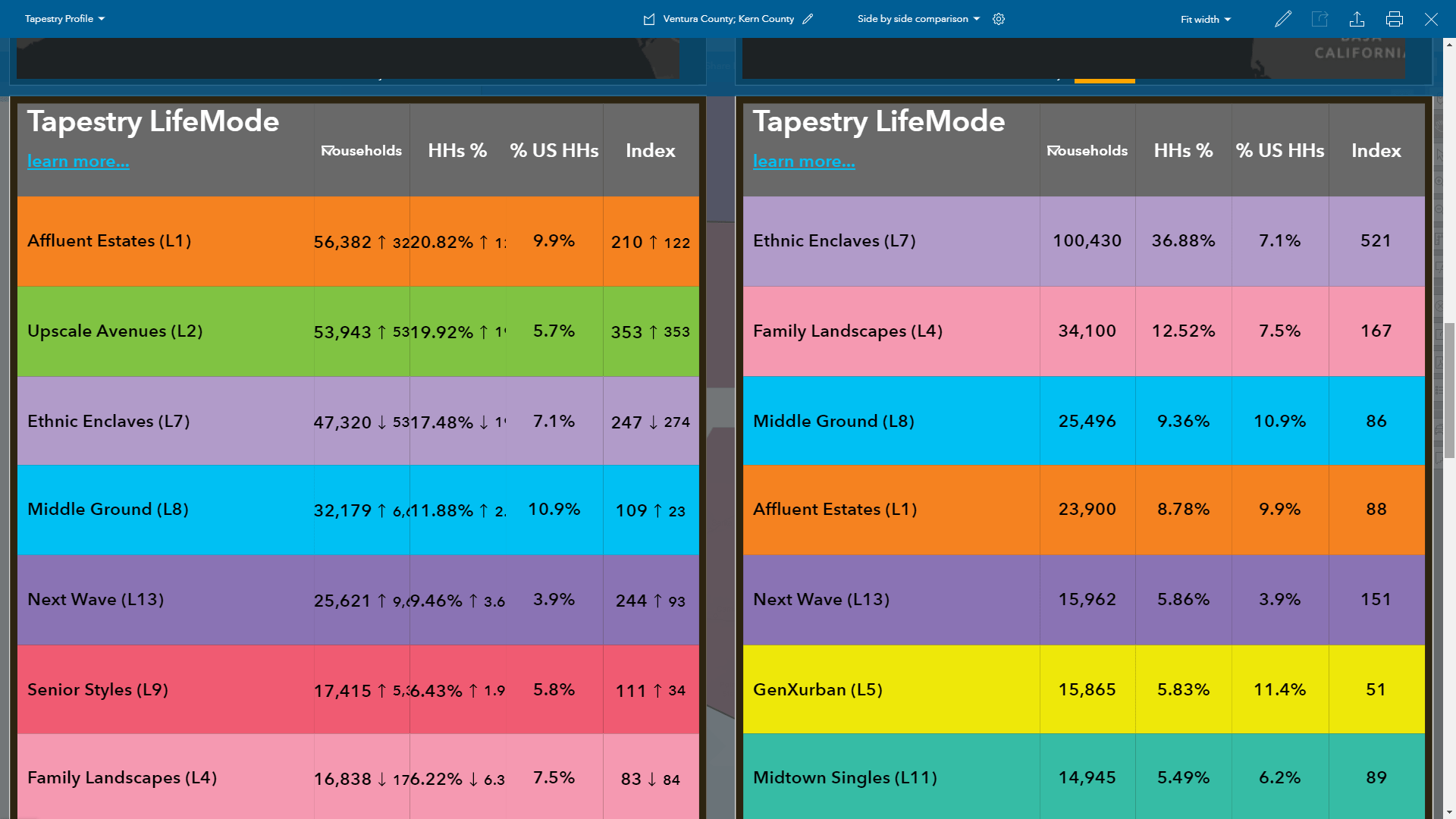 Tapestry infographics