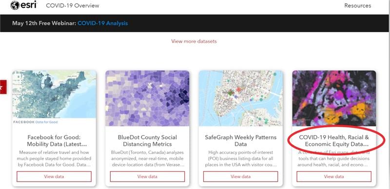 Screenshot of COVID-19 Health, Racial, and Economic Equity Data Viewer on the Esri COVID-19 GIS Hub