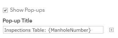 This image shows configuring the related records pop-up title to show the manhole number.