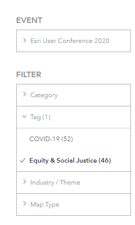 Screenshot of Equity & Social Justice Tag