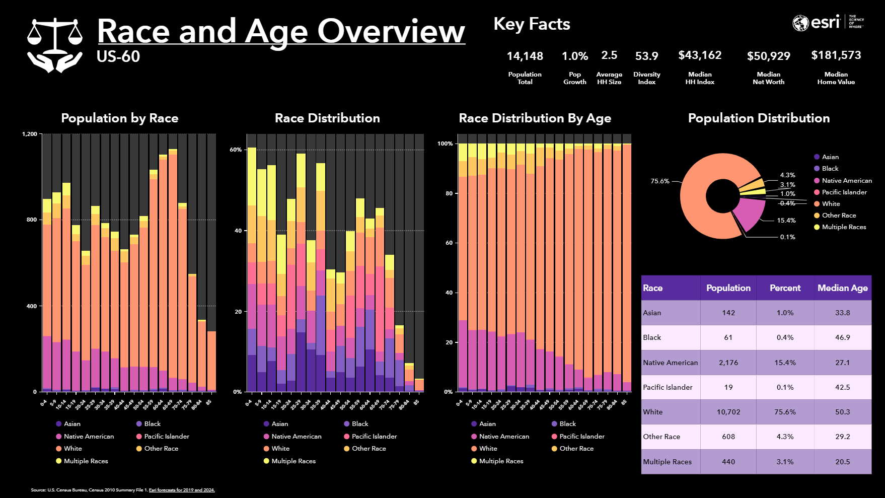 Race and Age Overview - Infographic Template