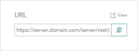 Service URL on item page