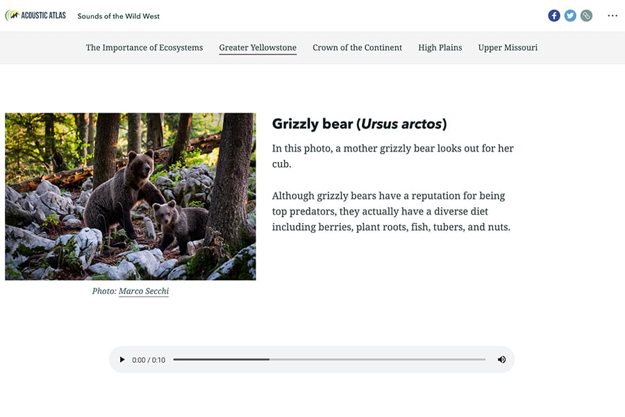 Inline audio blog Inline audio blog