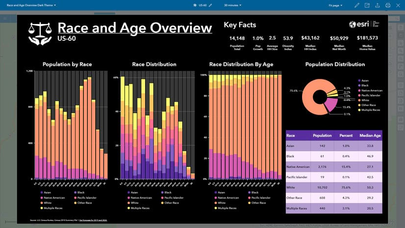 Business Analyst infographic