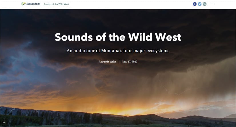 Audio in stories Audio in stories