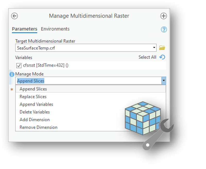 Manage Multidimensional Raster tool Manage Multidimensional Raster tool