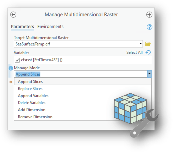 Manage Multidimensional Raster tool