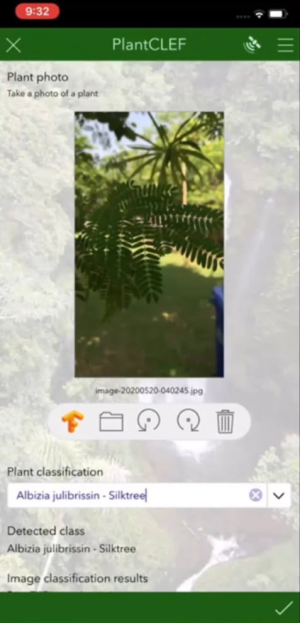 Automated plant species identification for field data collection Automated plant species identification for field data collection