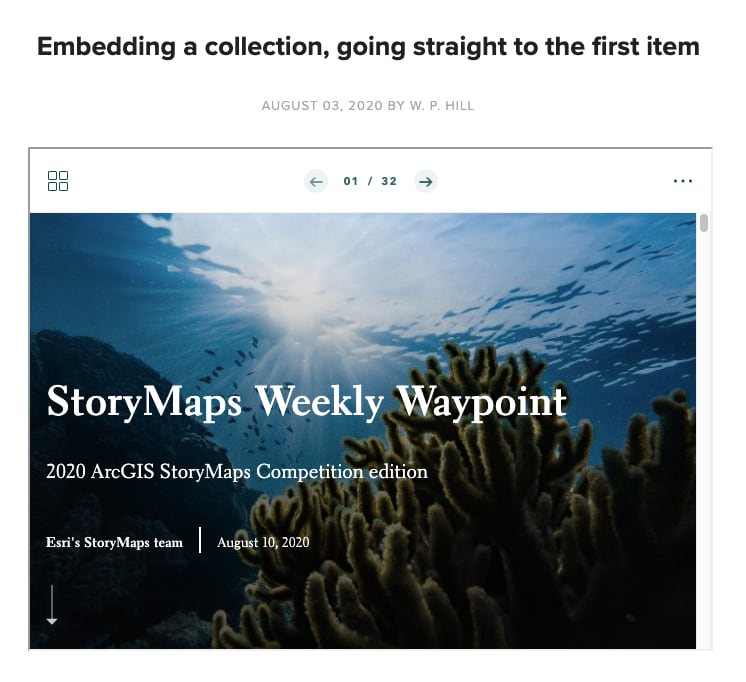 Screenshot of a collection embedded in Squarespace that has its contents page skipped and is starting on the first item in the collection instead