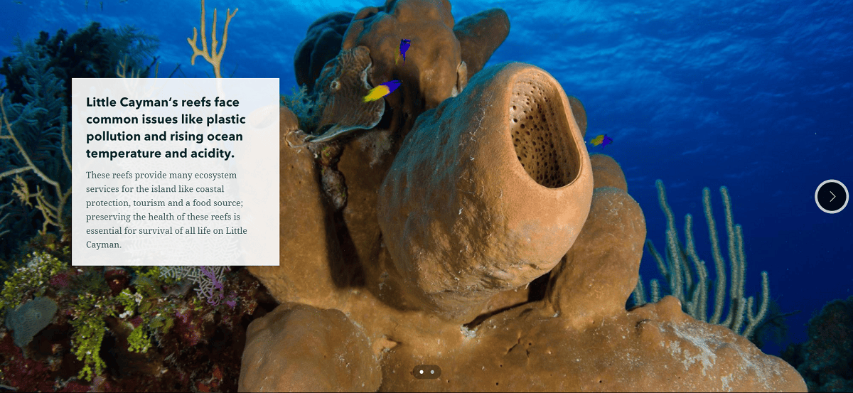 Slideshow feature in the Little Cayman Hope Spot story.