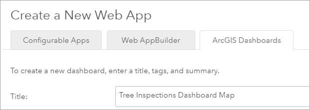 Create a New Web App window