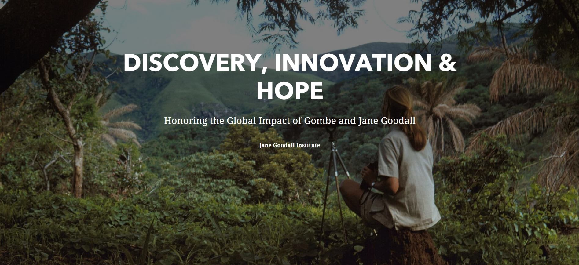 Cover of the Discovery, Innovation, and Hope story. Cover of the Discovery, Innovation, and Hope story.