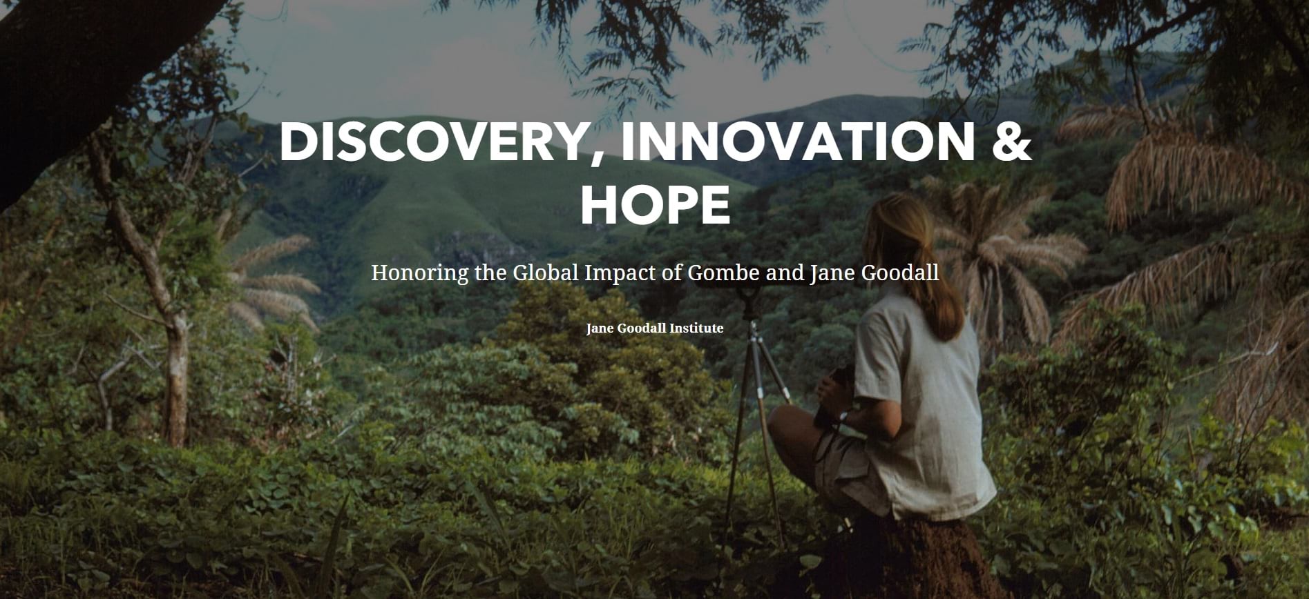 Cover of the Discovery, Innovation, and Hope story.