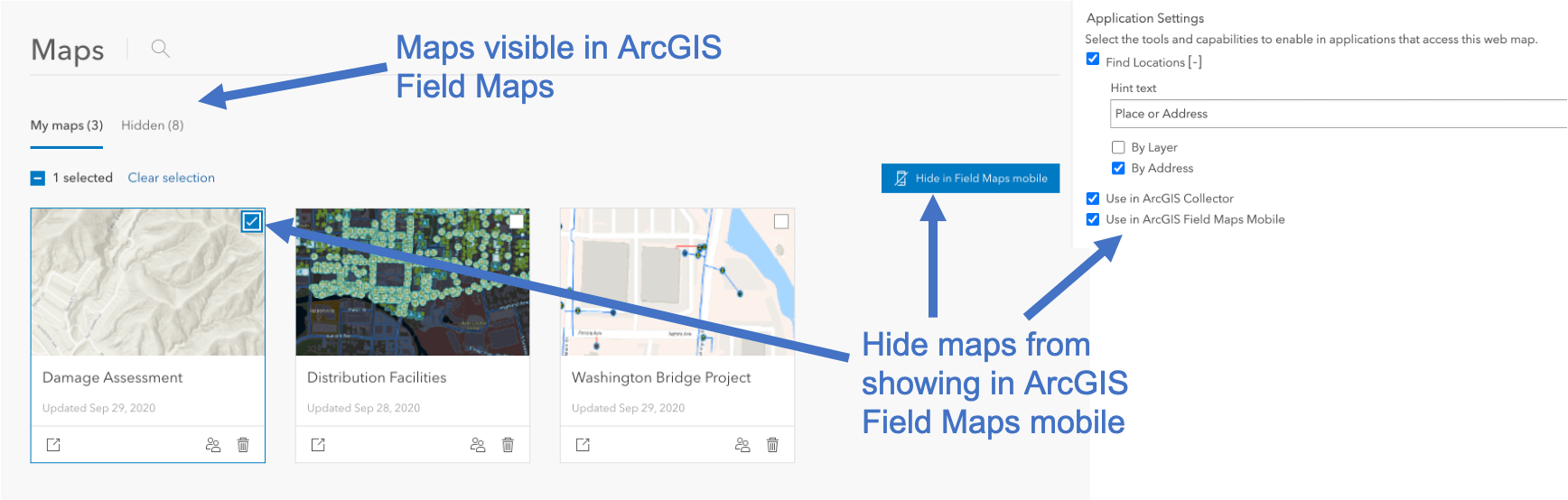 Show or hide maps in ArcGIS Field Maps